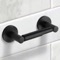 Toilet Paper Holder, Matte Black